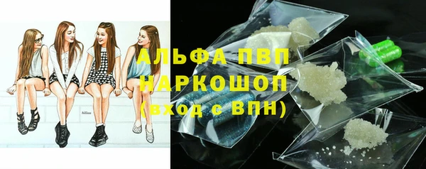 PSILOCYBIN Россошь